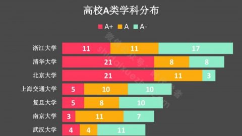 直观！一张图看懂高校第四轮学科评估A类布局